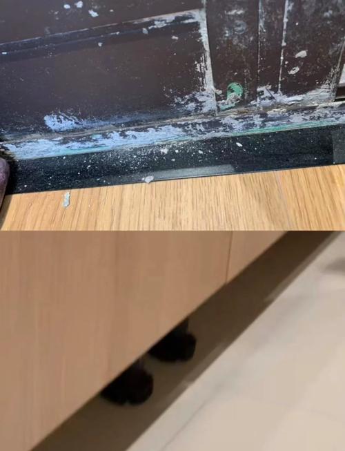 加盟家政公司需要投入多少资金？