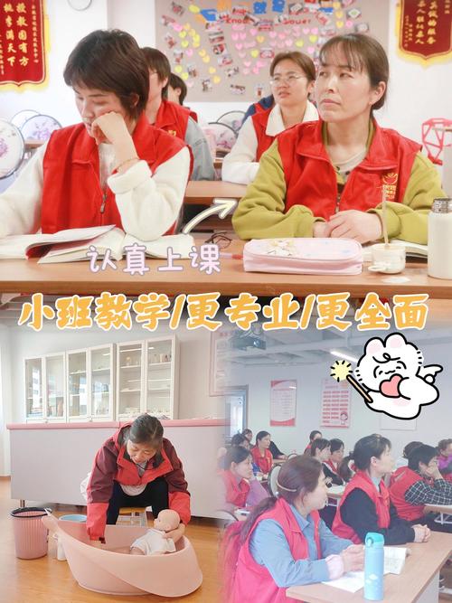 怎样加盟家政？需要什么条件？