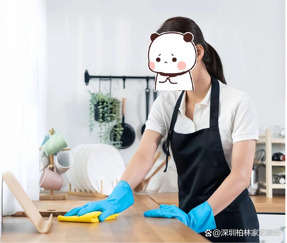 临时钟点工怎么找？靠谱的家政服务有哪些？