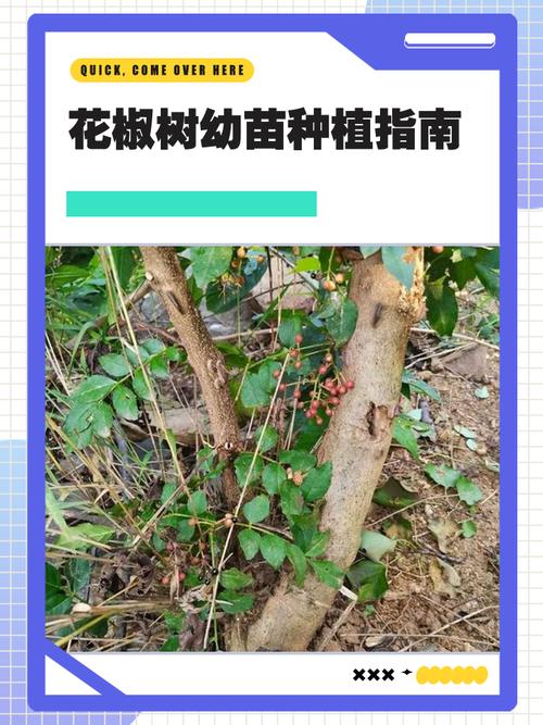 哈尔滨家政公司电话是多少？哪家口碑好？