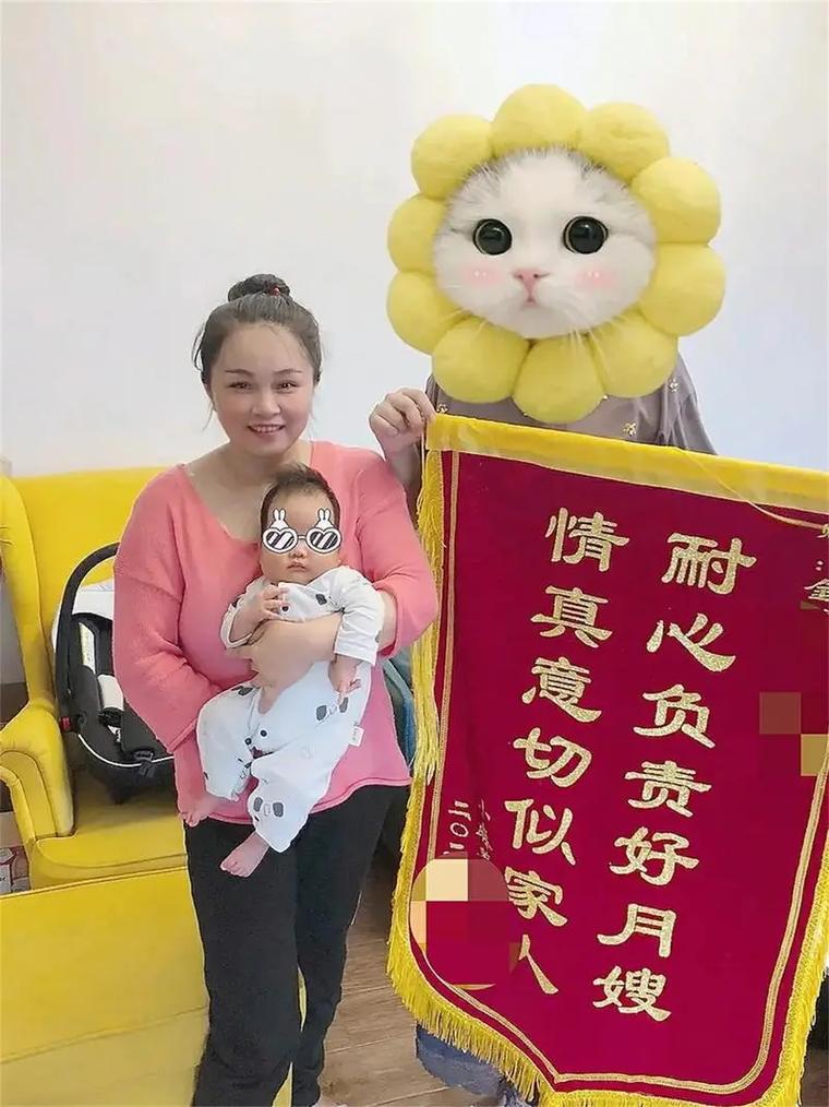 徐州妇联家政服务有哪些？如何申请？